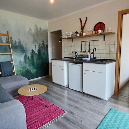 Apartament Bazatatry Sloneczny II Lejlighed Zakopane Eksteriør billede