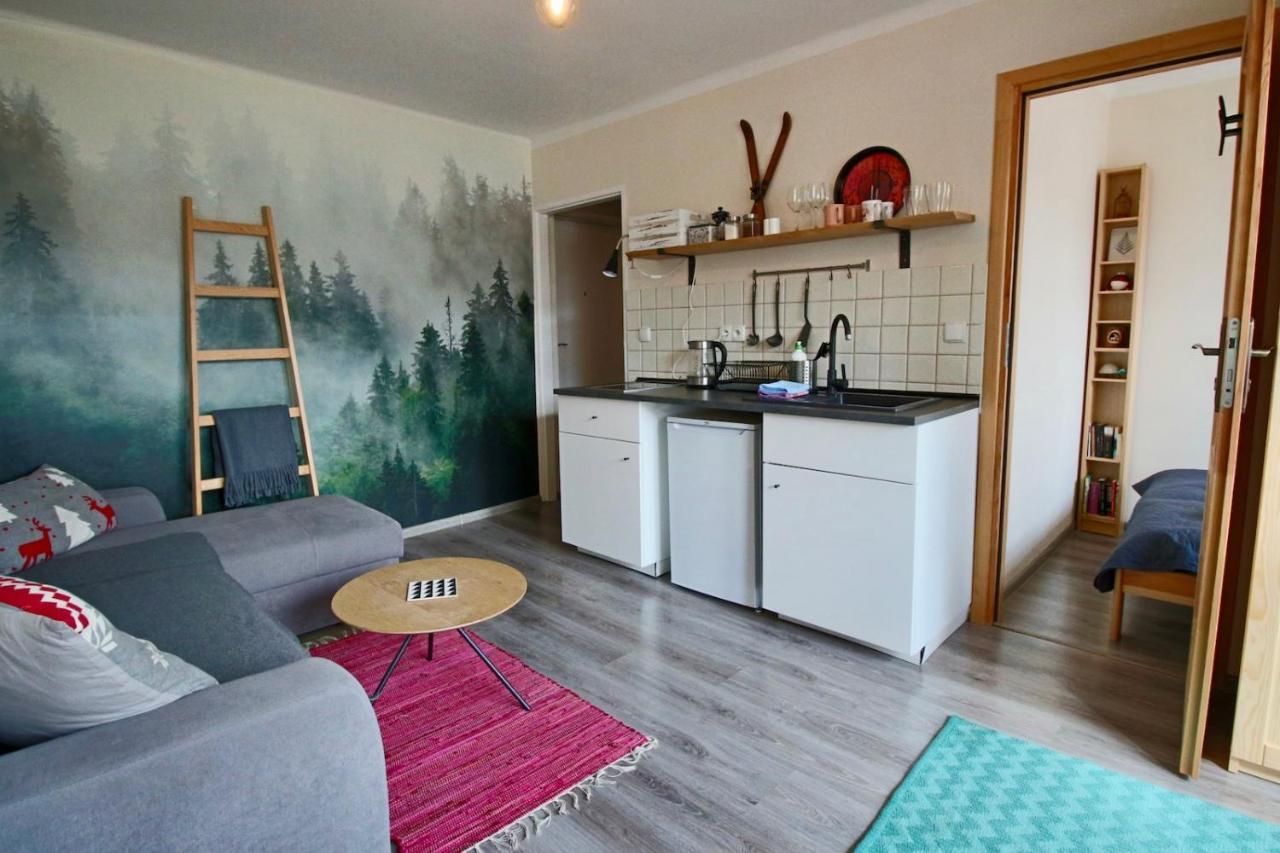 Apartament Bazatatry Sloneczny II Lejlighed Zakopane Eksteriør billede