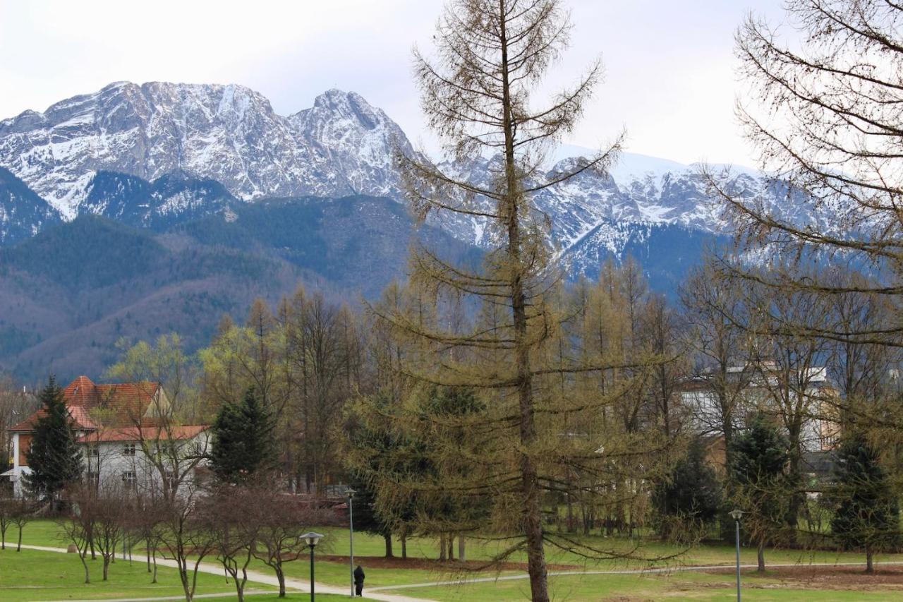 Apartament Bazatatry Sloneczny II Lejlighed Zakopane Eksteriør billede